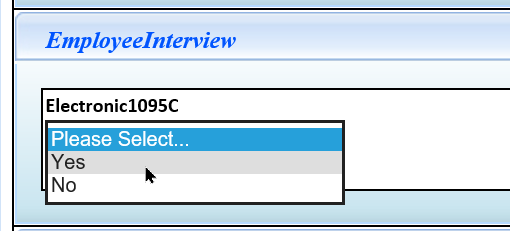 EmployeeInterview_-_Electronic1095C.png