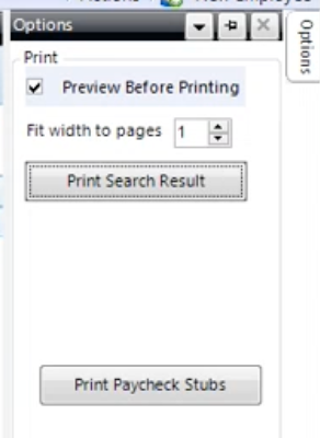 Options menu with Print Paycheck Stubs