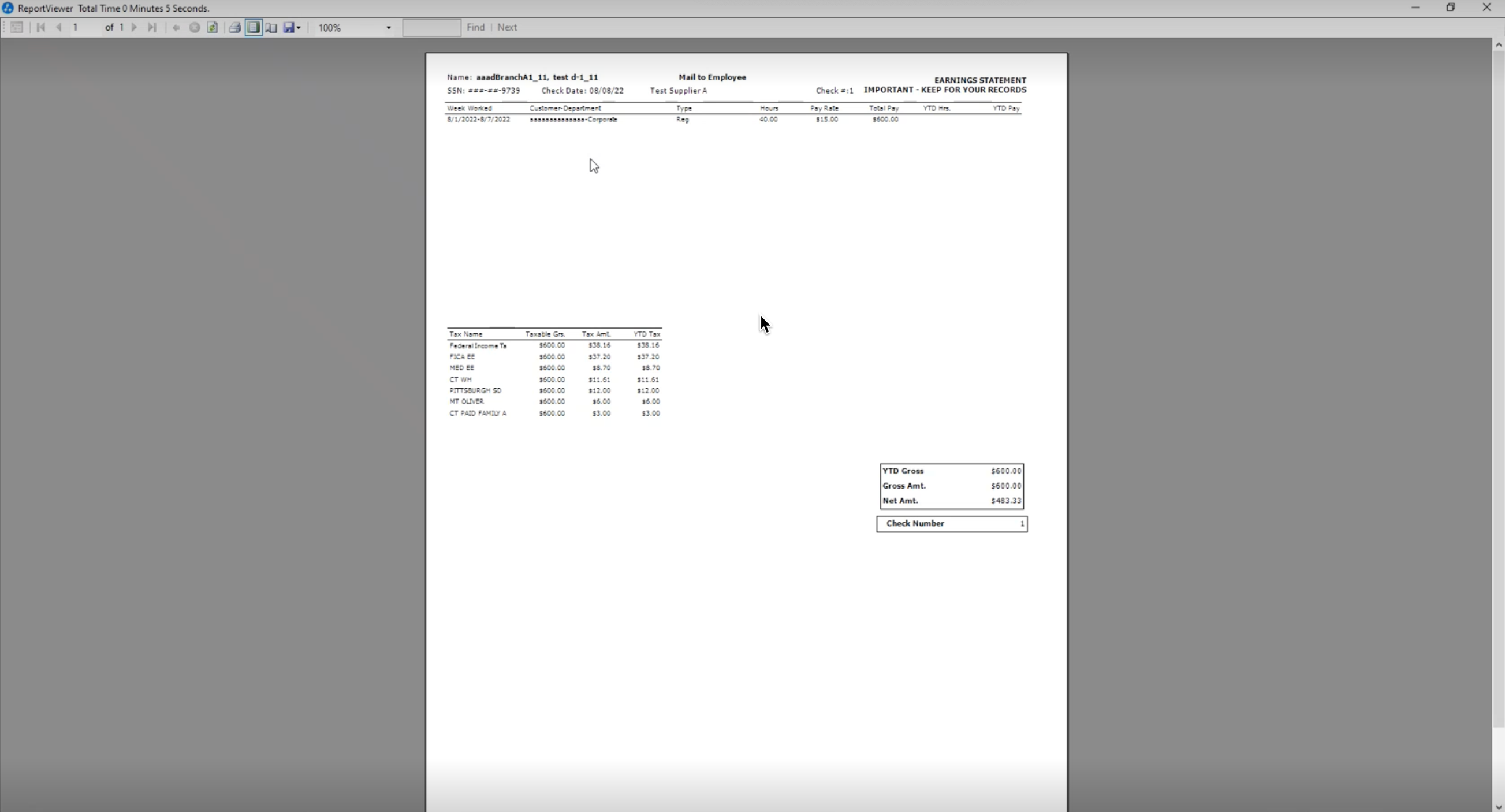 Paycheck PDF report